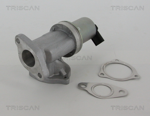 TRISCAN AGR-Ventil