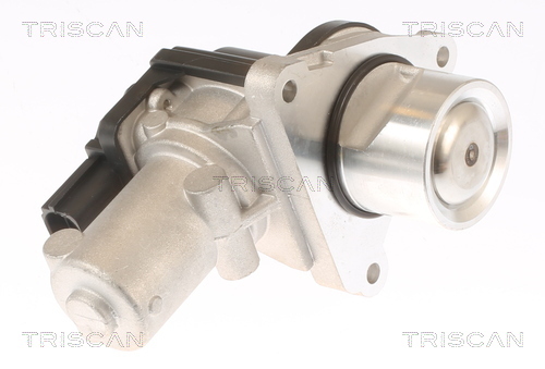 TRISCAN AGR-Ventil