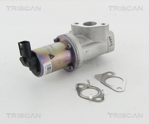 TRISCAN AGR-Ventil