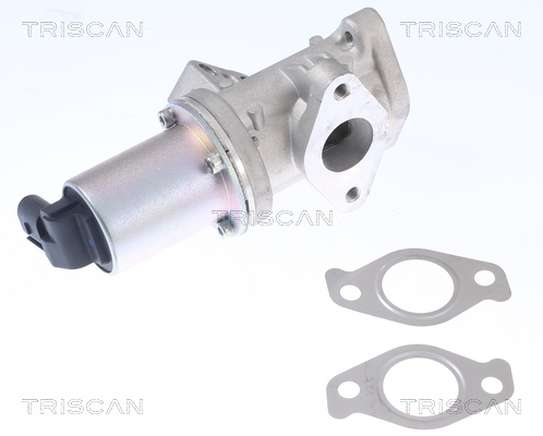 TRISCAN AGR-Ventil