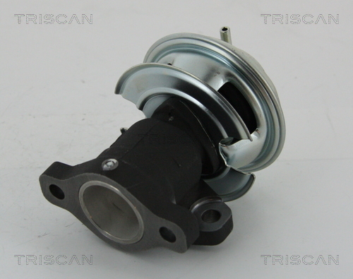 TRISCAN AGR-Ventil