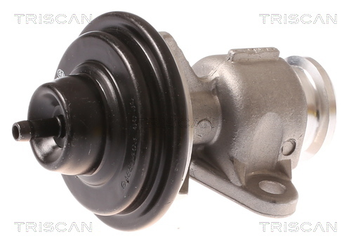 TRISCAN AGR-Ventil