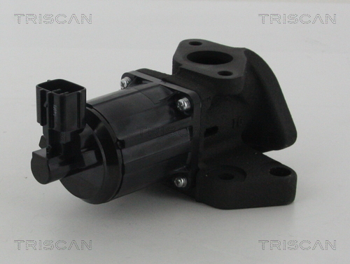 TRISCAN AGR-Ventil