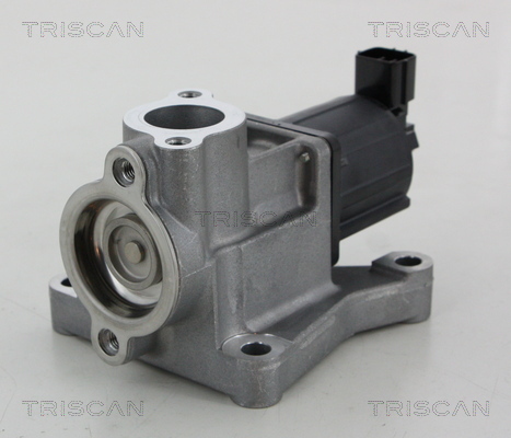 TRISCAN AGR-Ventil