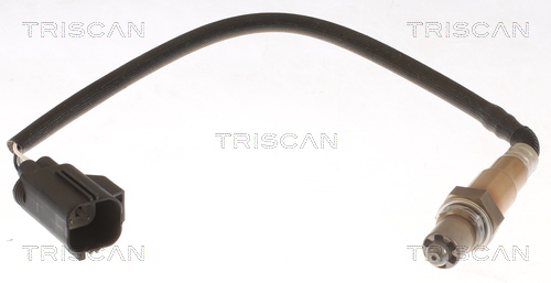 TRISCAN Lambdasonde