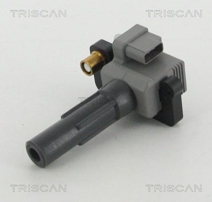TRISCAN Zündspule