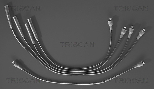 TRISCAN Zündleitungssatz