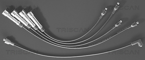 TRISCAN Zündleitungssatz