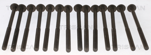 TRISCAN Zylinderkopfschraubensatz