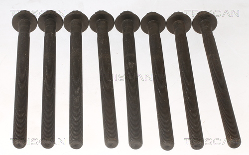 TRISCAN Zylinderkopfschraubensatz