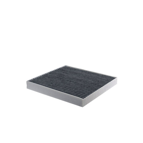 FILTRON Filter, Innenraumluft